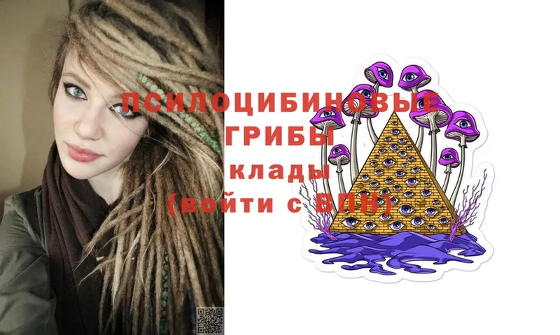 Псилоцибиновые грибы MAGIC MUSHROOMS  KRAKEN онион  сайты даркнета телеграм  что такое наркотик  Красноярск 